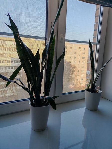 Фото