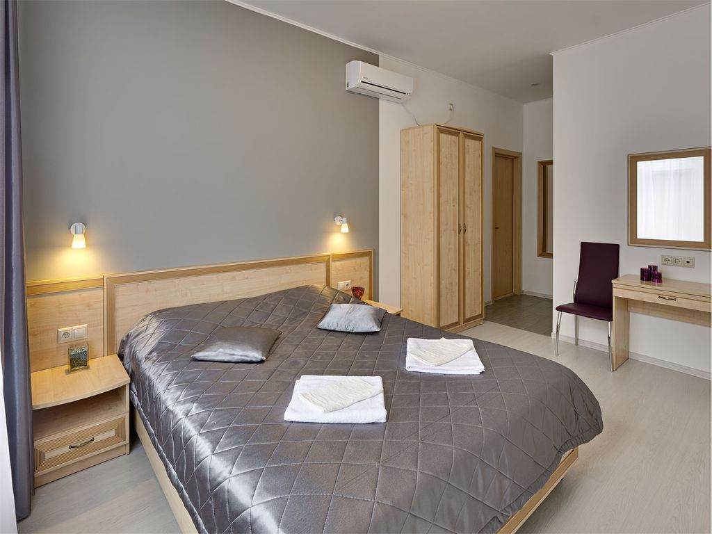 Двухместный номер с 1 кроватью Бизнес