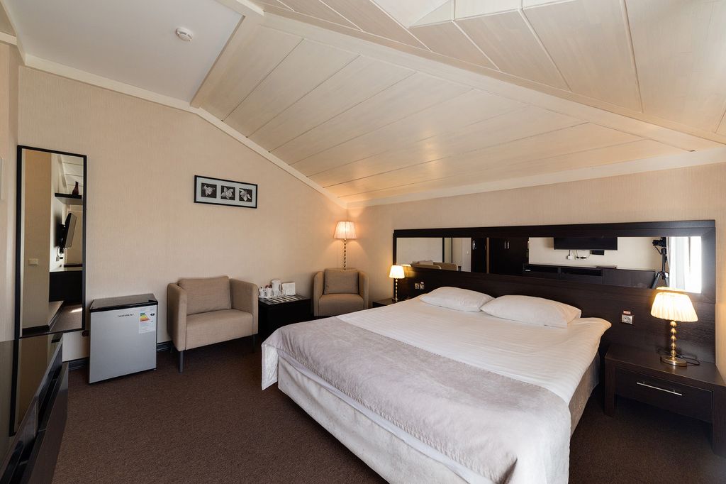 Двухместный номер с 1 кроватью мансарда