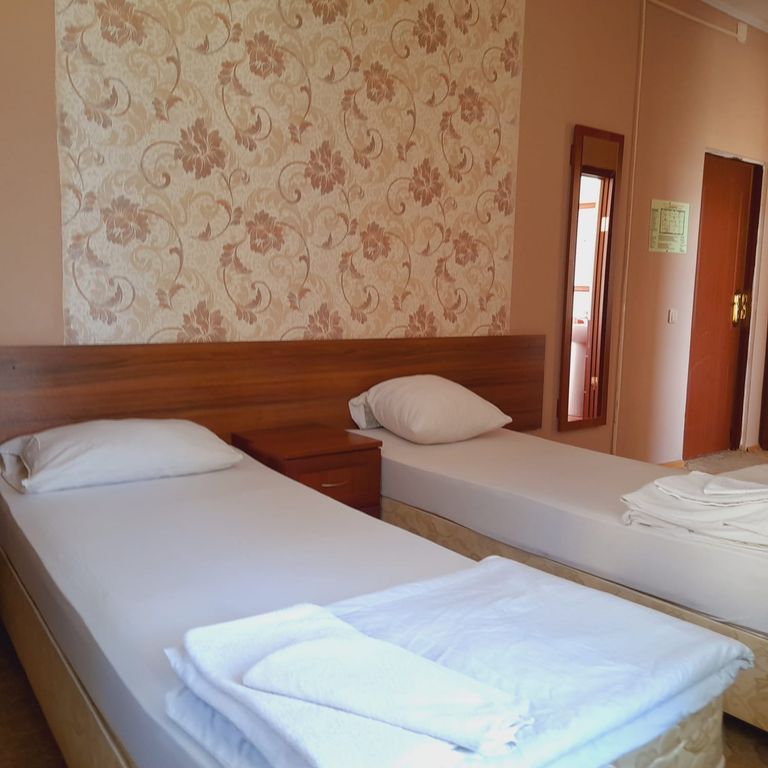 Двухместный номер с 1 кроватью эконом