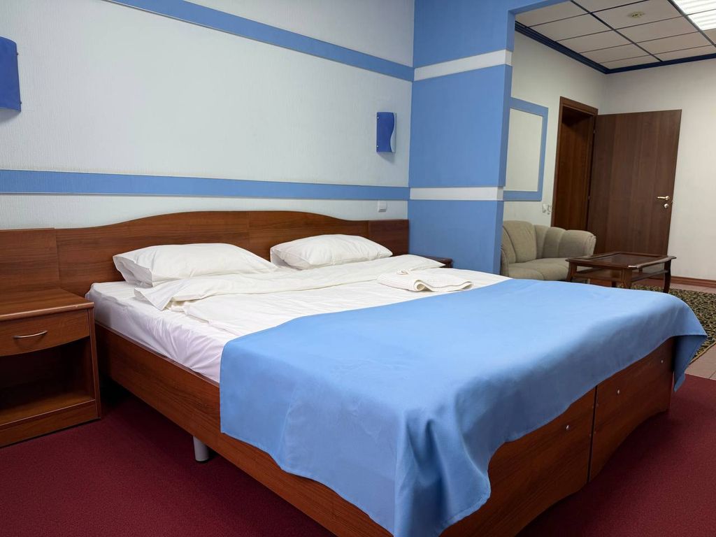 Двухместный номер с 1 кроватью стандарт 402