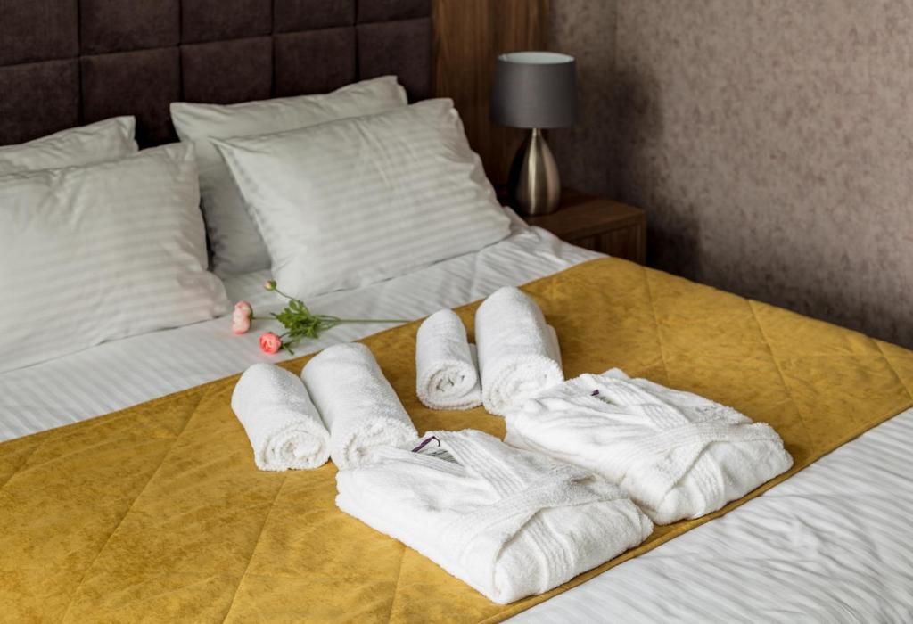 Двухместный номер с 1 кроватью и диваном-кроватью