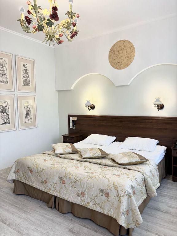 Двухместный номер с 1 кроватью Бизнес