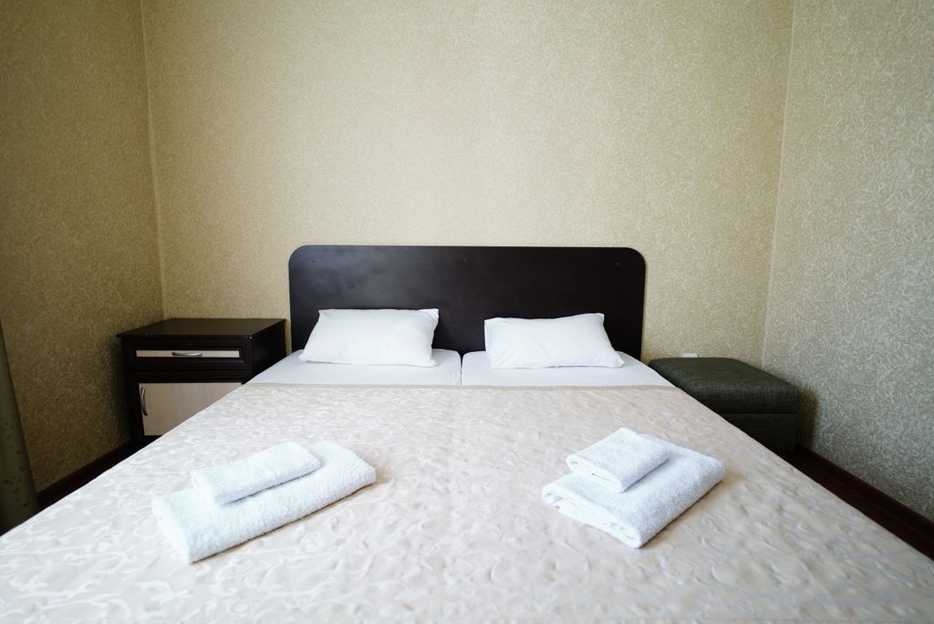 Двухместный номер с 1 кроватью стандарт с видом на горы