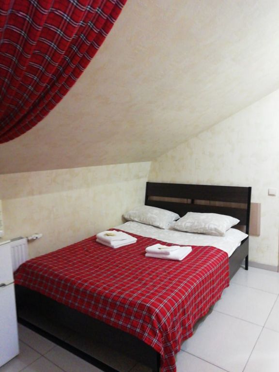 Двухместный номер с 1 кроватью мансарда