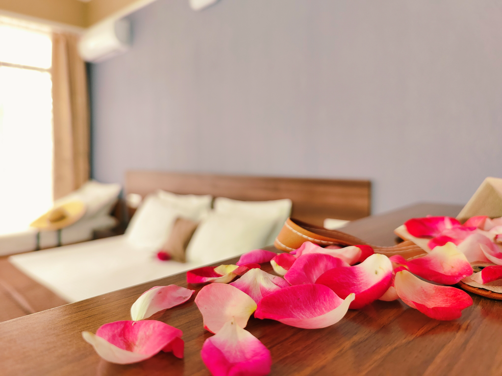 Трёхместный номер комфорт с общей террасой