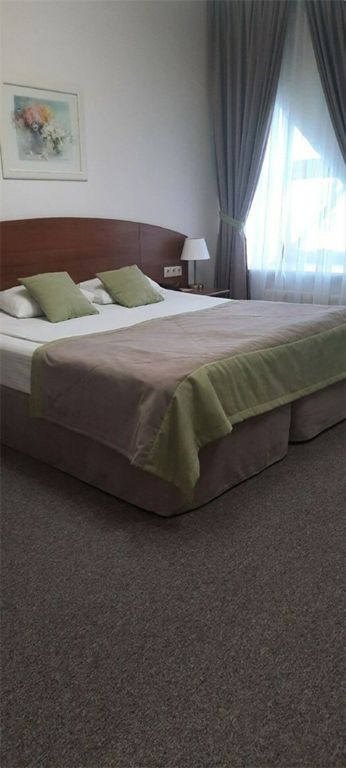 Двухместный номер с 1 кроватью или 2 отдельными кроватями, супериор