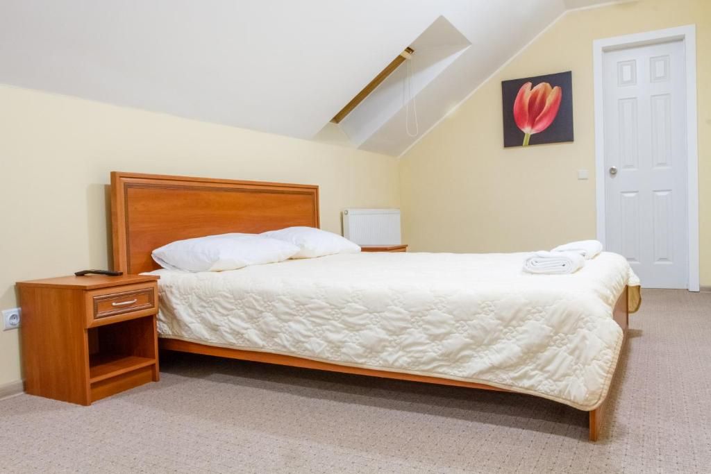 Двухместный номер с 1 кроватью стандарт с видом на холм