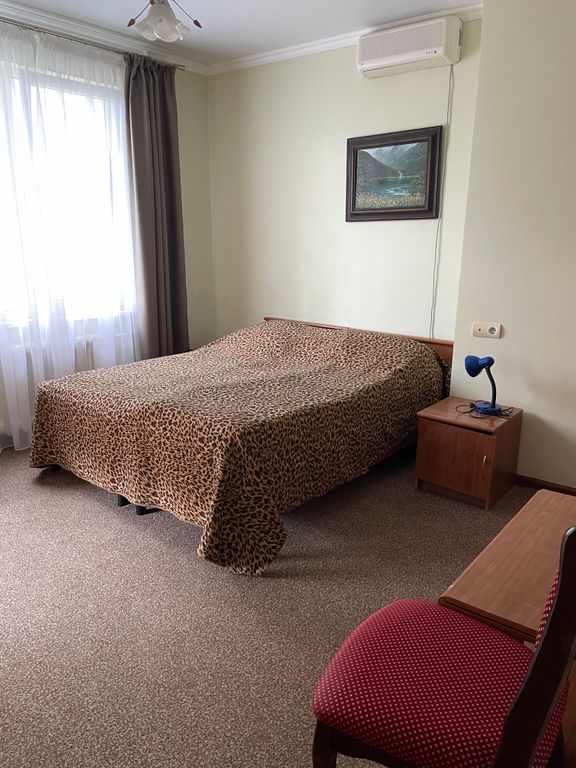 Двухместный номер с 1 кроватью с большим балконом