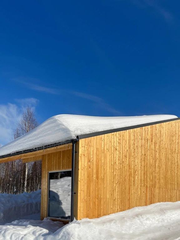 Дом с односкатной крышей 1