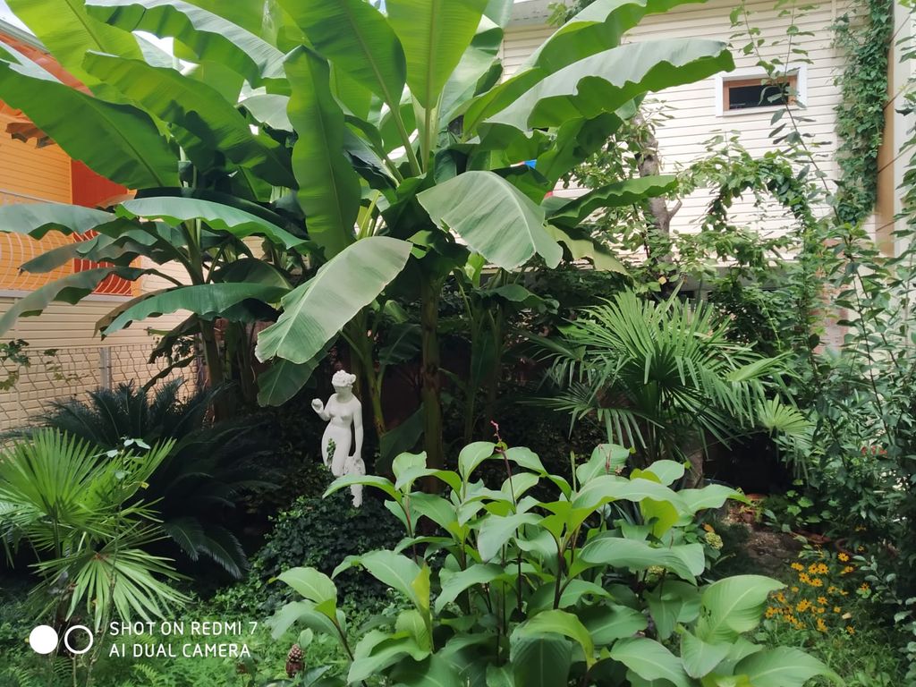 Семейный номер двухкомнатный со своей кухней