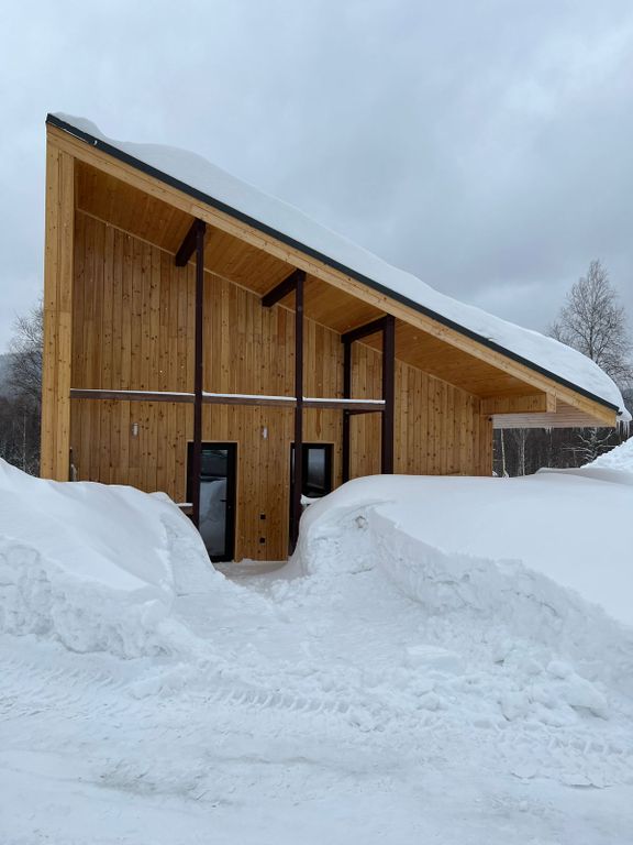 Дом с односкатной крышей 2