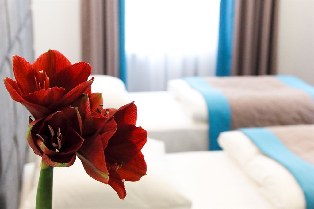 Двухместный номер с 2 отдельными кроватями Делюкс