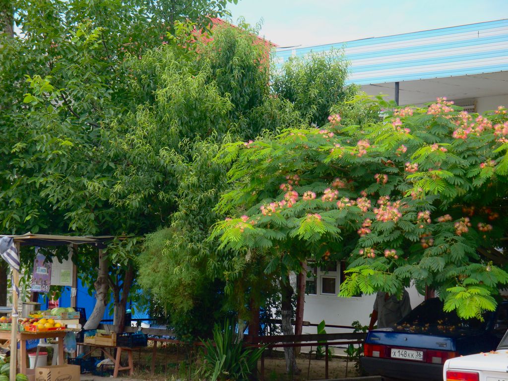 Четырёхместный номер эконом