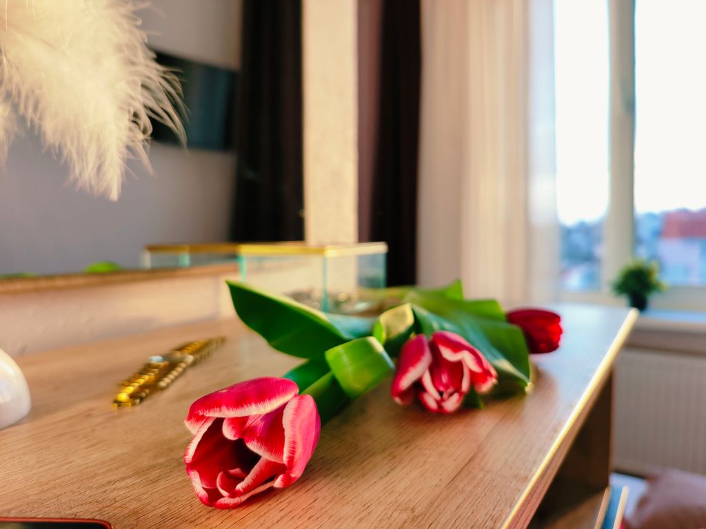 Одноместный номер стандарт