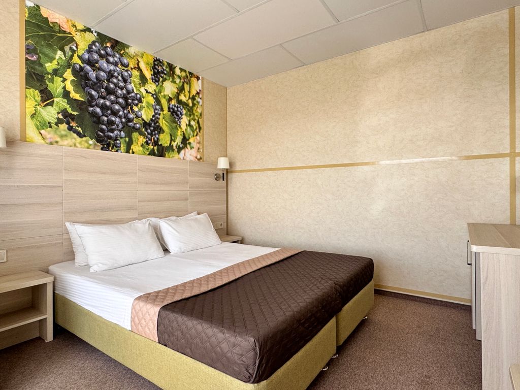 Двухместный номер с 1 кроватью комфорт плюс с террасой