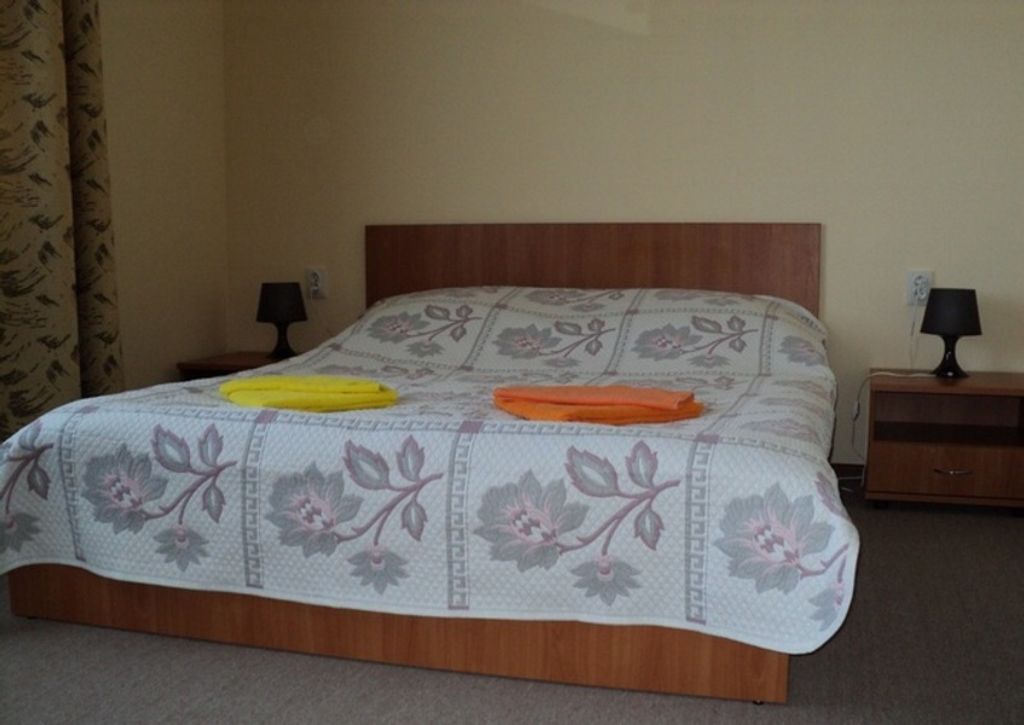 Двухместный номер с 1 кроватью Standart Double