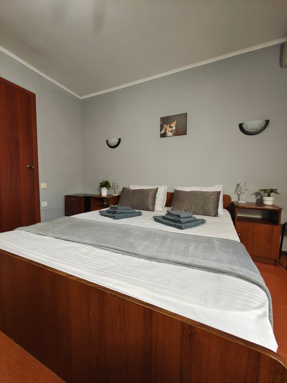 Двухместный номер с 1 кроватью Комфорт без балкона