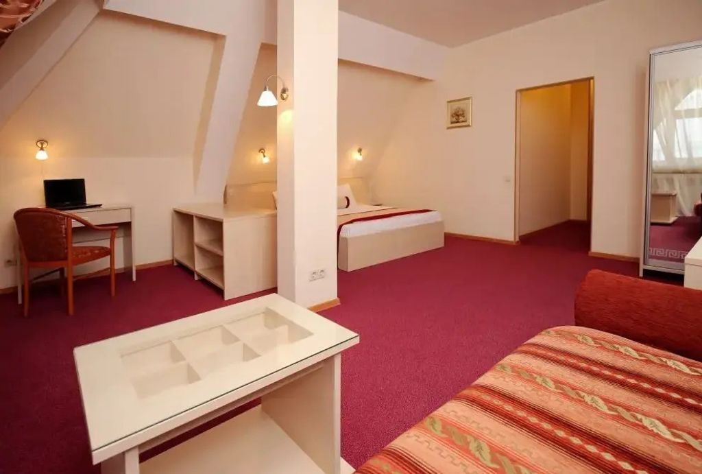 Двухместный номер с 1 кроватью студия плюс