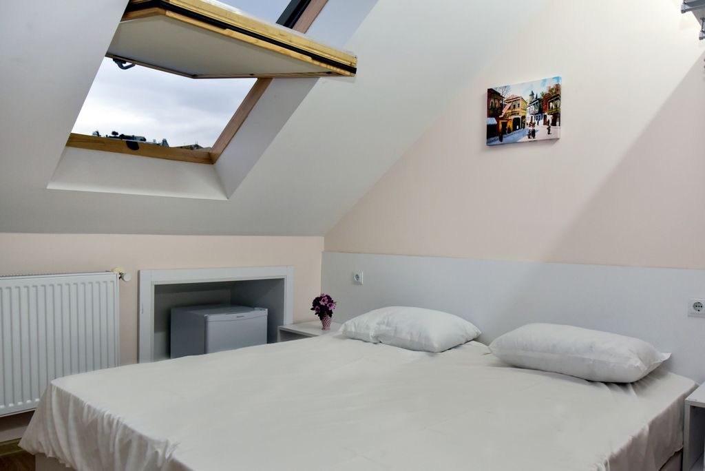 Двухместный номер с 1 кроватью Laghidze I