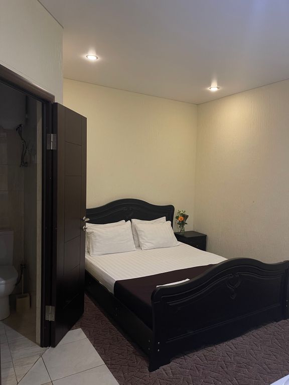 Двухместный номер с 1 кроватью стандарт с видом на город