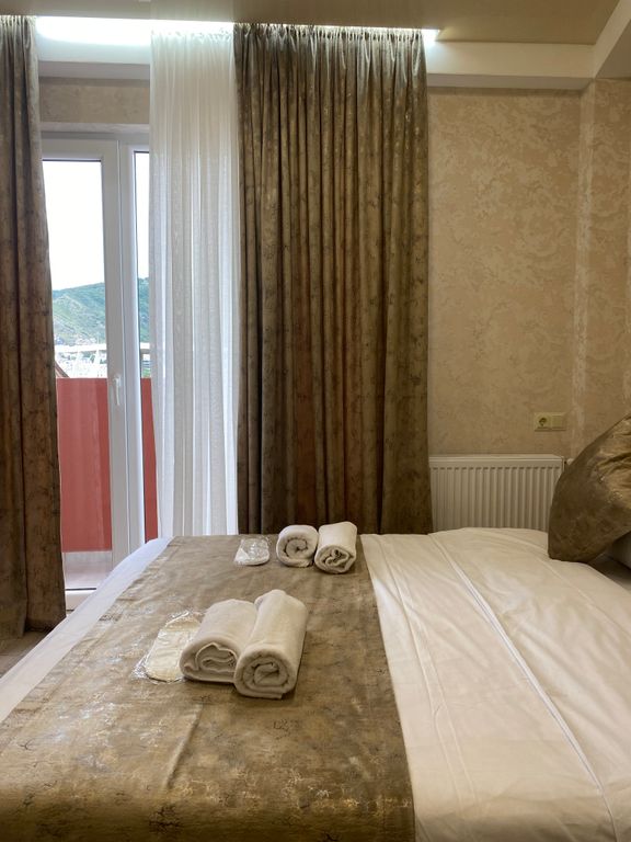 Двухместный номер с 1 кроватью стандарт с видом на город