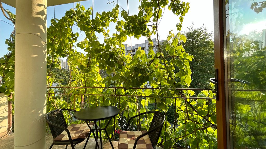 Двухместный номер с 1 кроватью улучшенный с видом на город