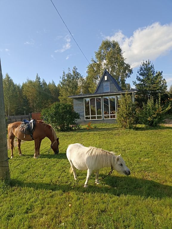 Дом стандарт