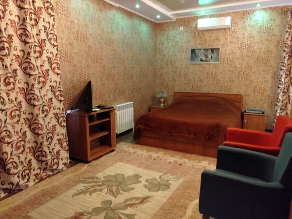 Двухместный номер с 1 кроватью стандарт с видом на город