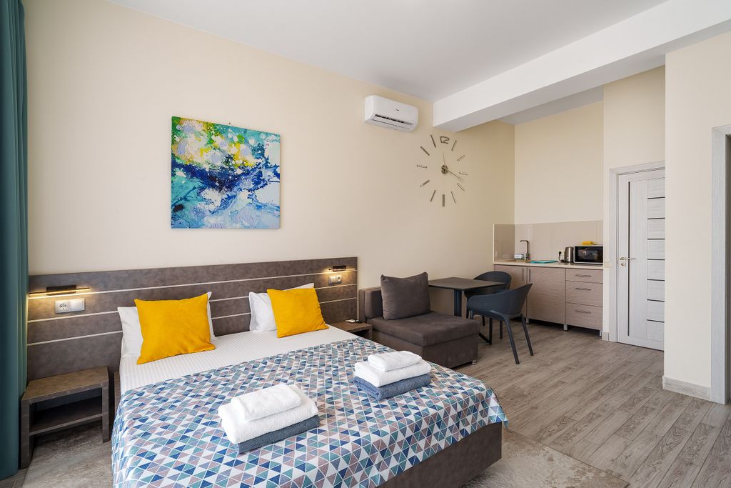 Двухместный номер с 1 кроватью С дополнительным местом