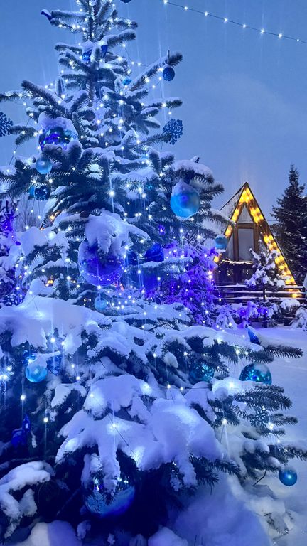 Дом светлое шале №4