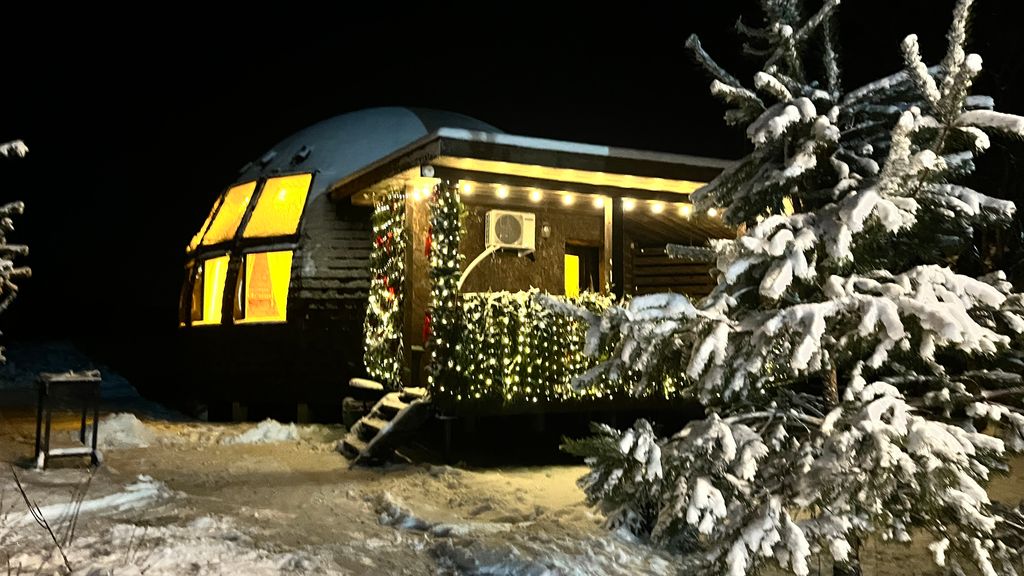 Дом купольный дом №1