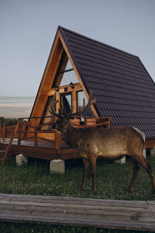 Дом Афрейм с видом на горы