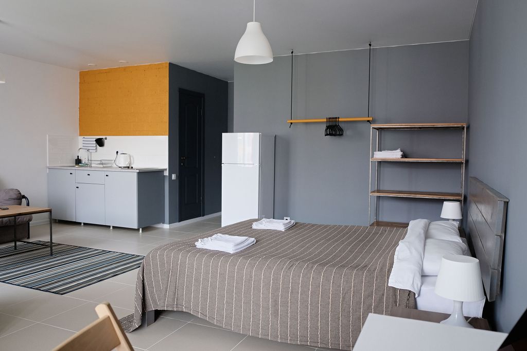 Двухместный номер с 1 кроватью Студия с доп местом