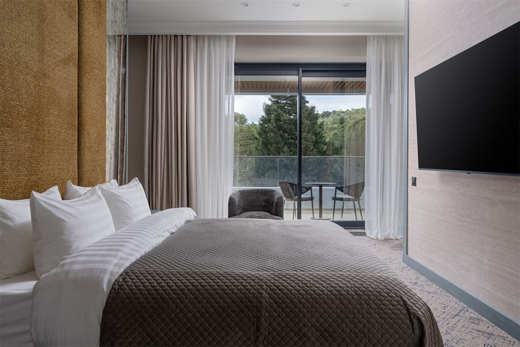 Двухместный номер с 1 кроватью делюкс с видом на парк