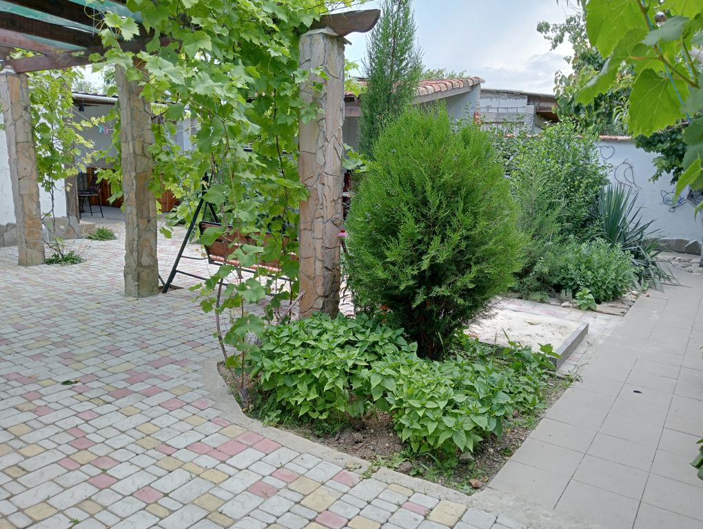 Семейный номер с кухней-беседкой