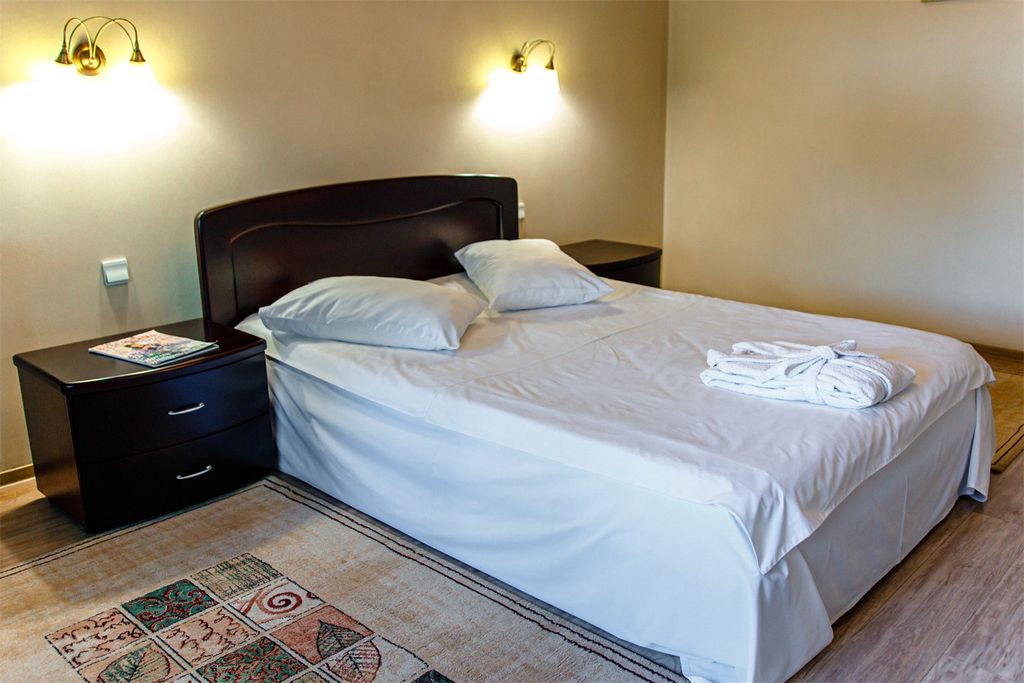 Двухместный номер с 1 кроватью "Полулюкс" № 2