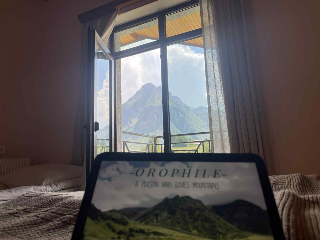 Двухместный номер с 1 кроватью эконом с видом на горы