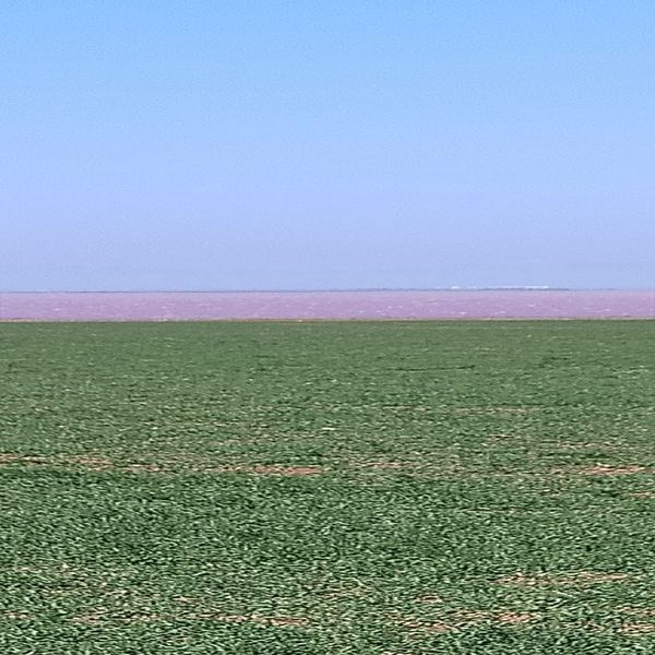 Розовое озеро в 10 мин ходьбы.