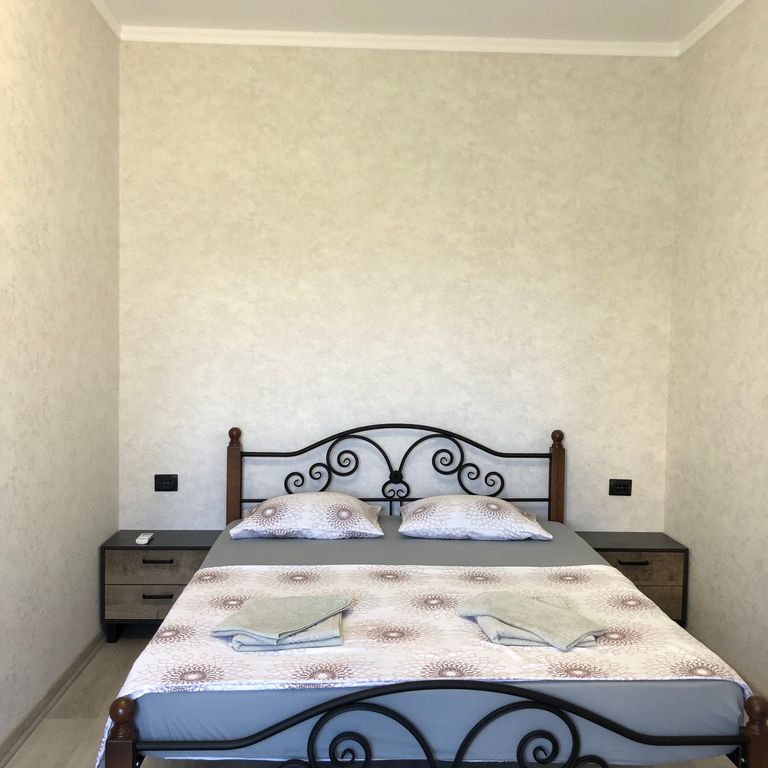 Двухместный номер с 1 кроватью стандарт с видом на город