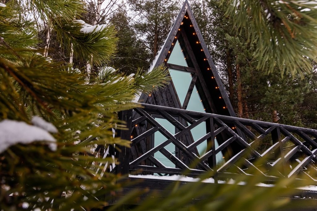 Дом а-Фрейм Черно-белое