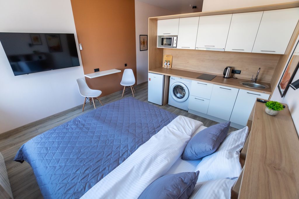 Двухместный номер с 1 кроватью студия стандарт (standart)