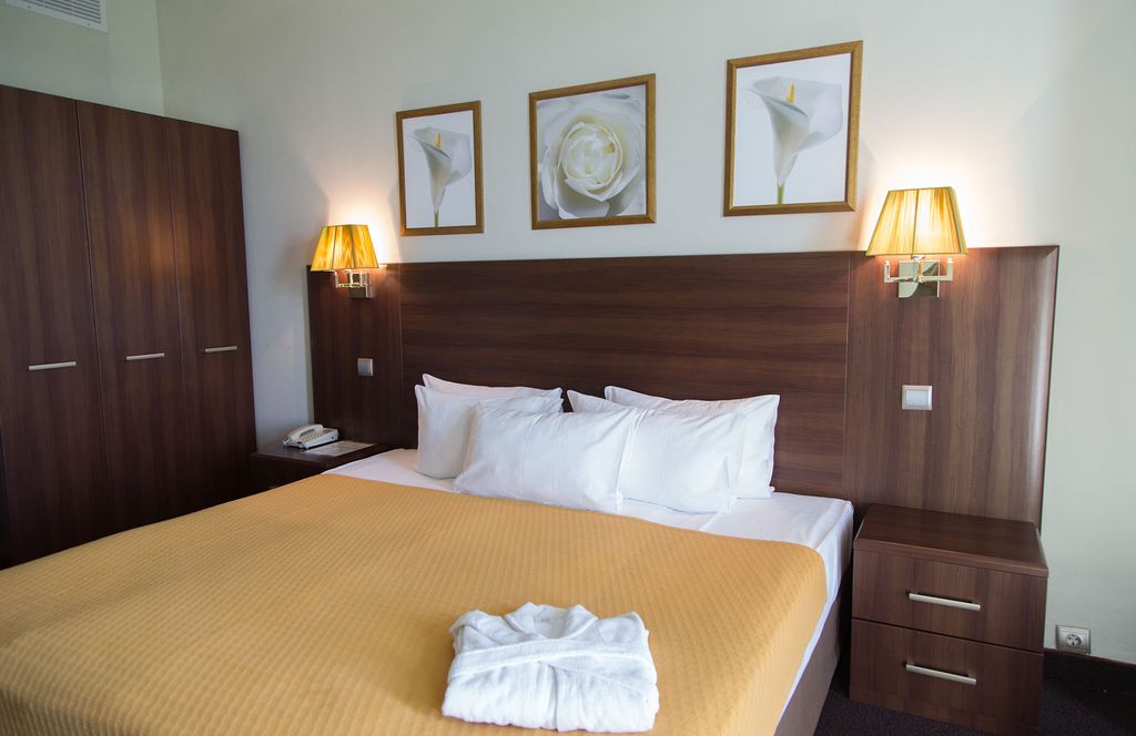 Двухместный номер с 1 кроватью делюкс