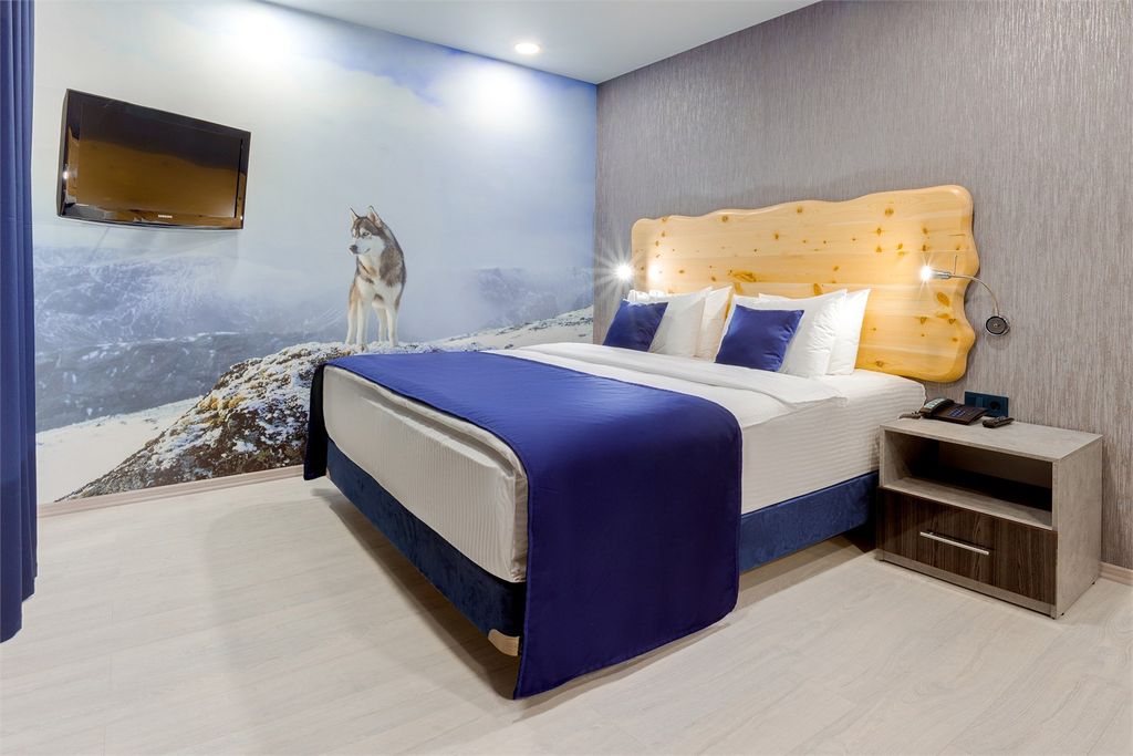 Двухместный номер с 1 кроватью джуниор сюит Арктический