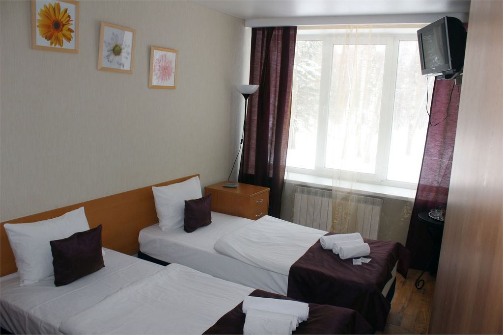 Двухместный номер с 1 кроватью или 2 раздельными Эконом