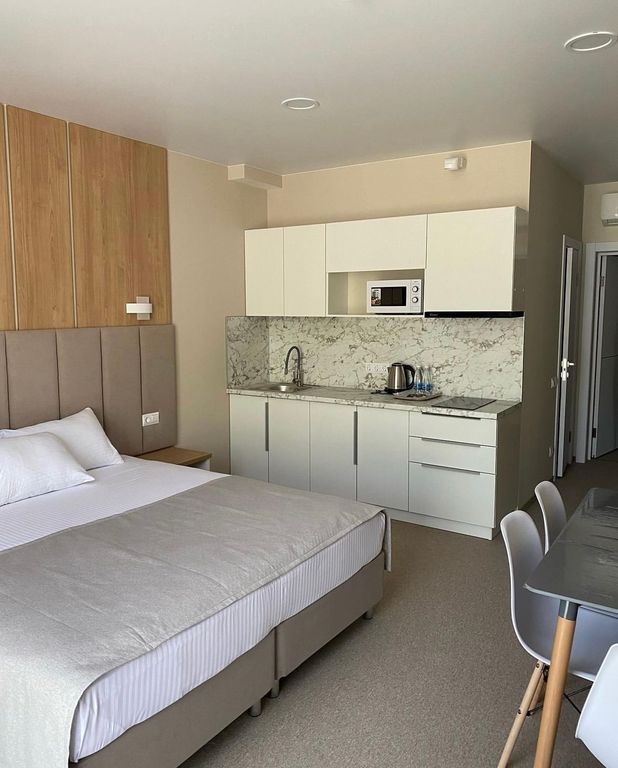 Апартаменты студия с кухней вид на горы (без балкона)