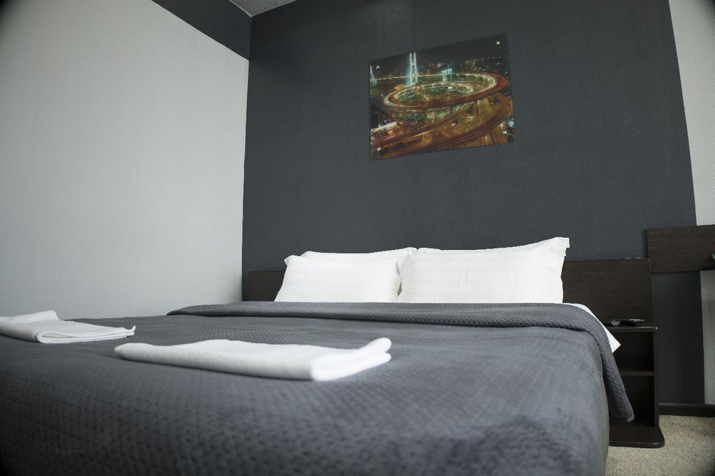 Двухместный номер с 1 кроватью стандарт с видом на город