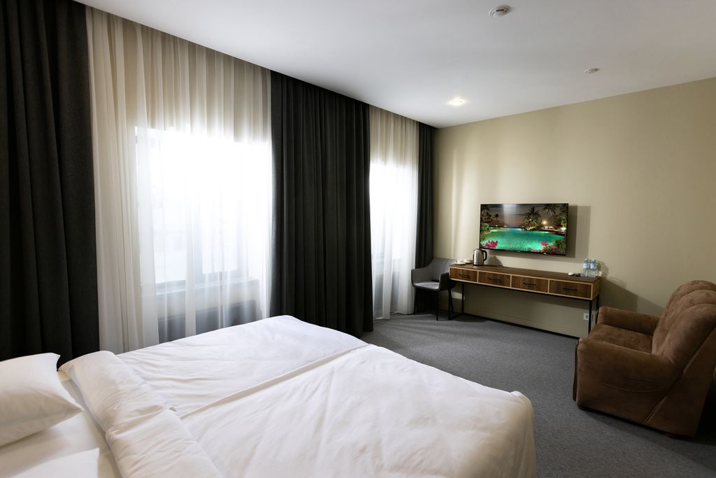 Двухместный номер с 1 кроватью стандарт с видом на город