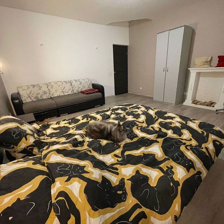 Семейный номер с собственной ванной комнатой