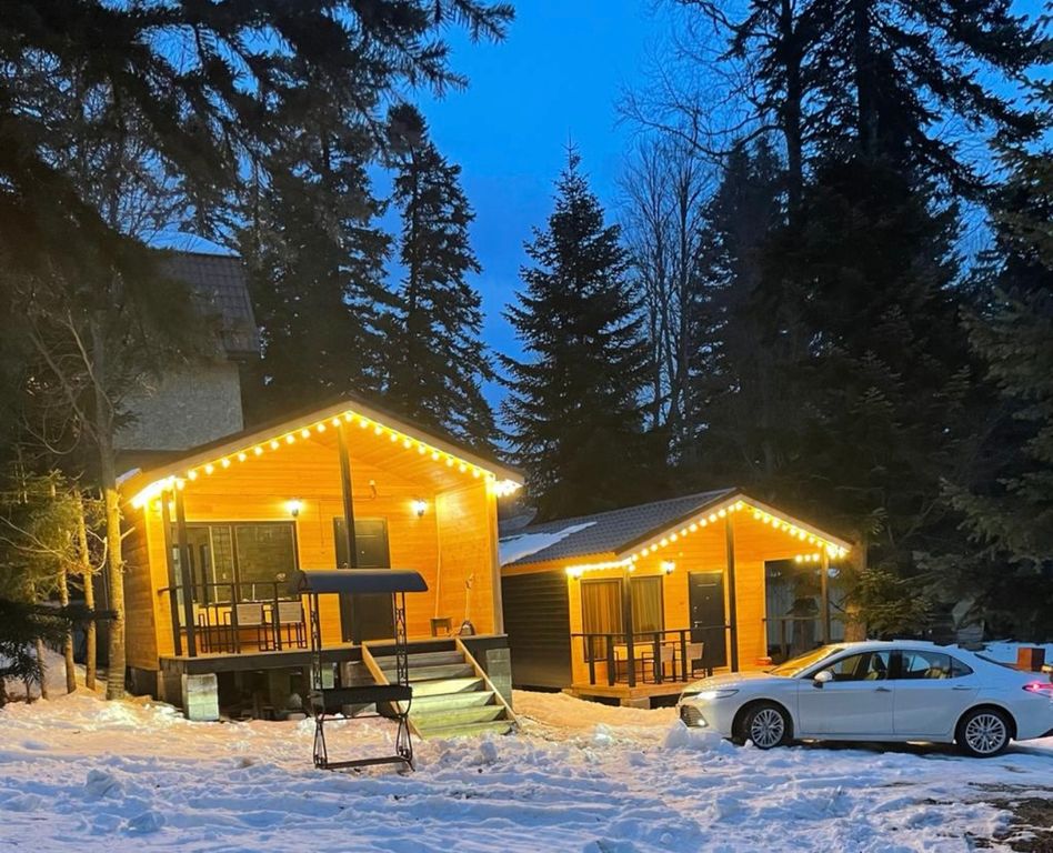 Дом Коттедж №1